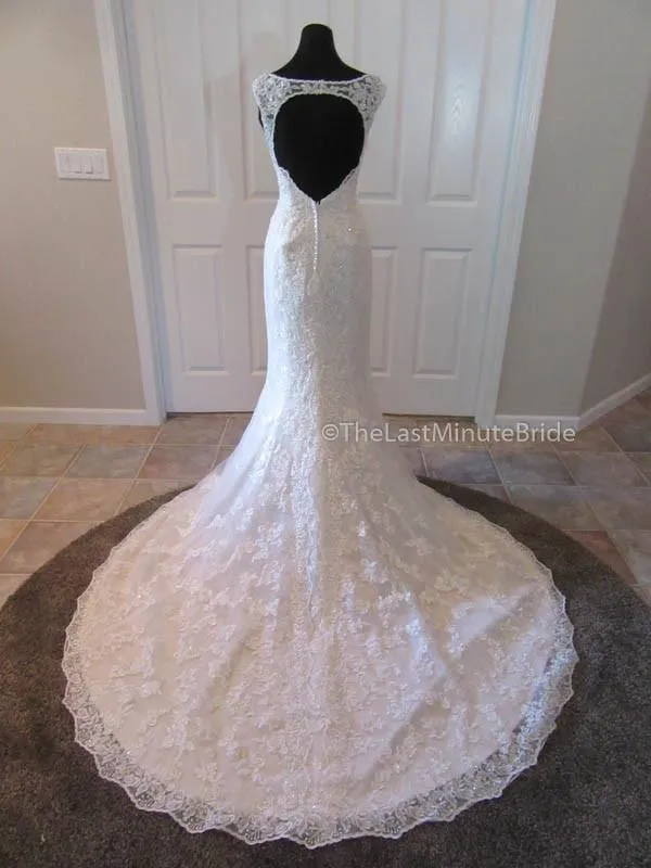 Sophia Tolli Kyle Y21515