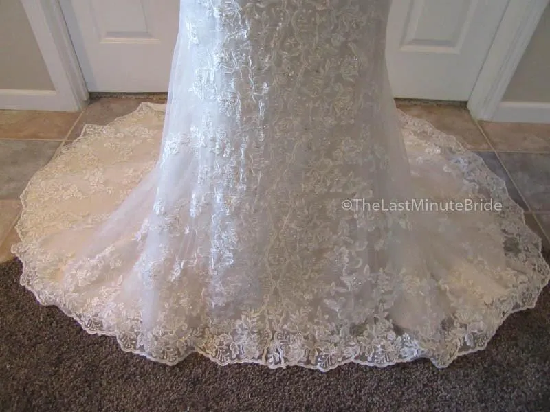 Sophia Tolli Kyle Y21515