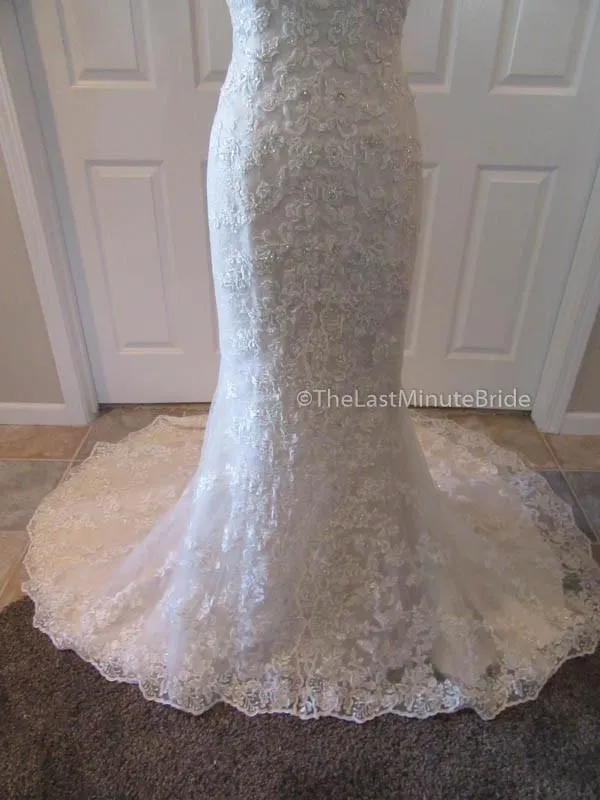 Sophia Tolli Kyle Y21515