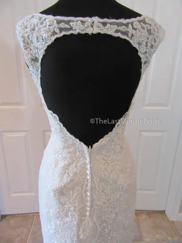 Sophia Tolli Kyle Y21515