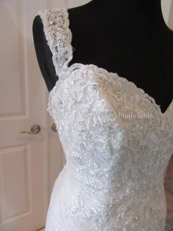 Sophia Tolli Kyle Y21515