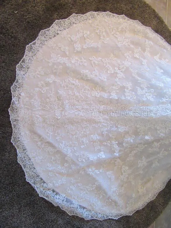 Sophia Tolli Kyle Y21515