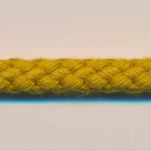Spindle Cord #24 Karashi
