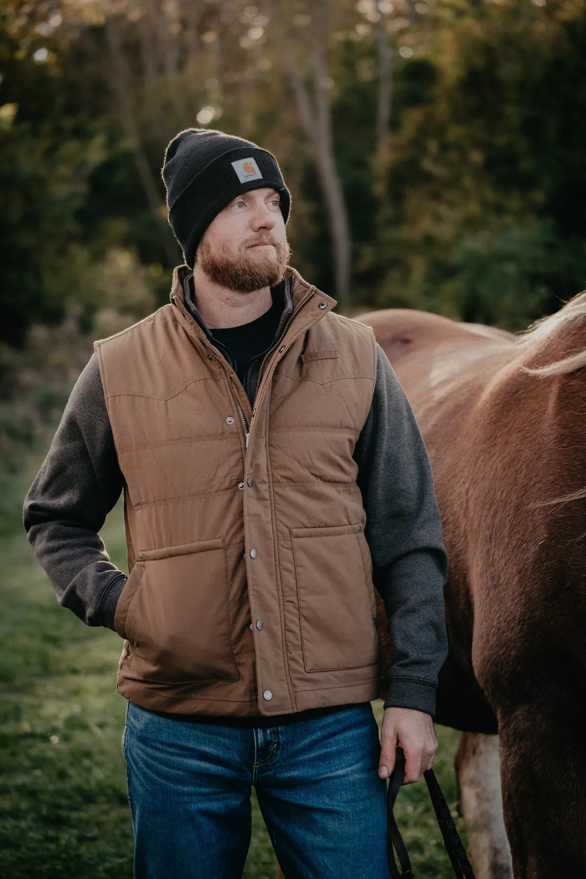 'Steve' Men's CINCH Quilted Vest Brown (S ONLY)