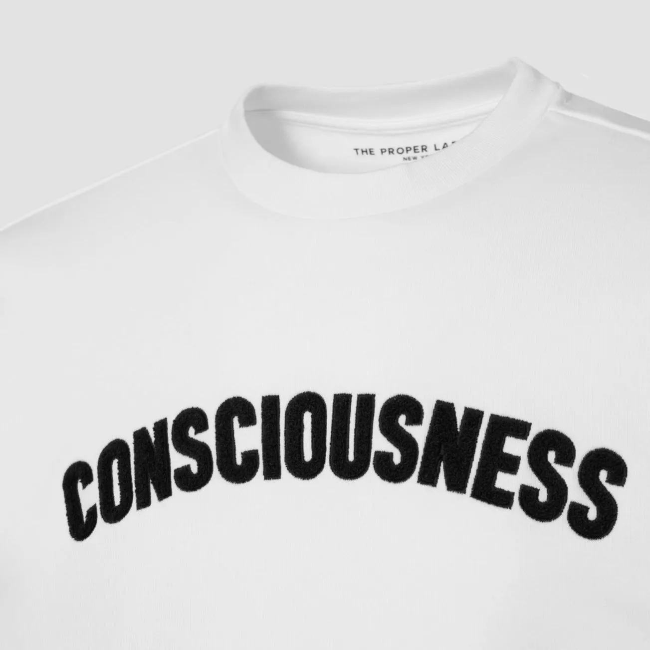 The Proper Conscious Crewneck | Arctic Dove Edition