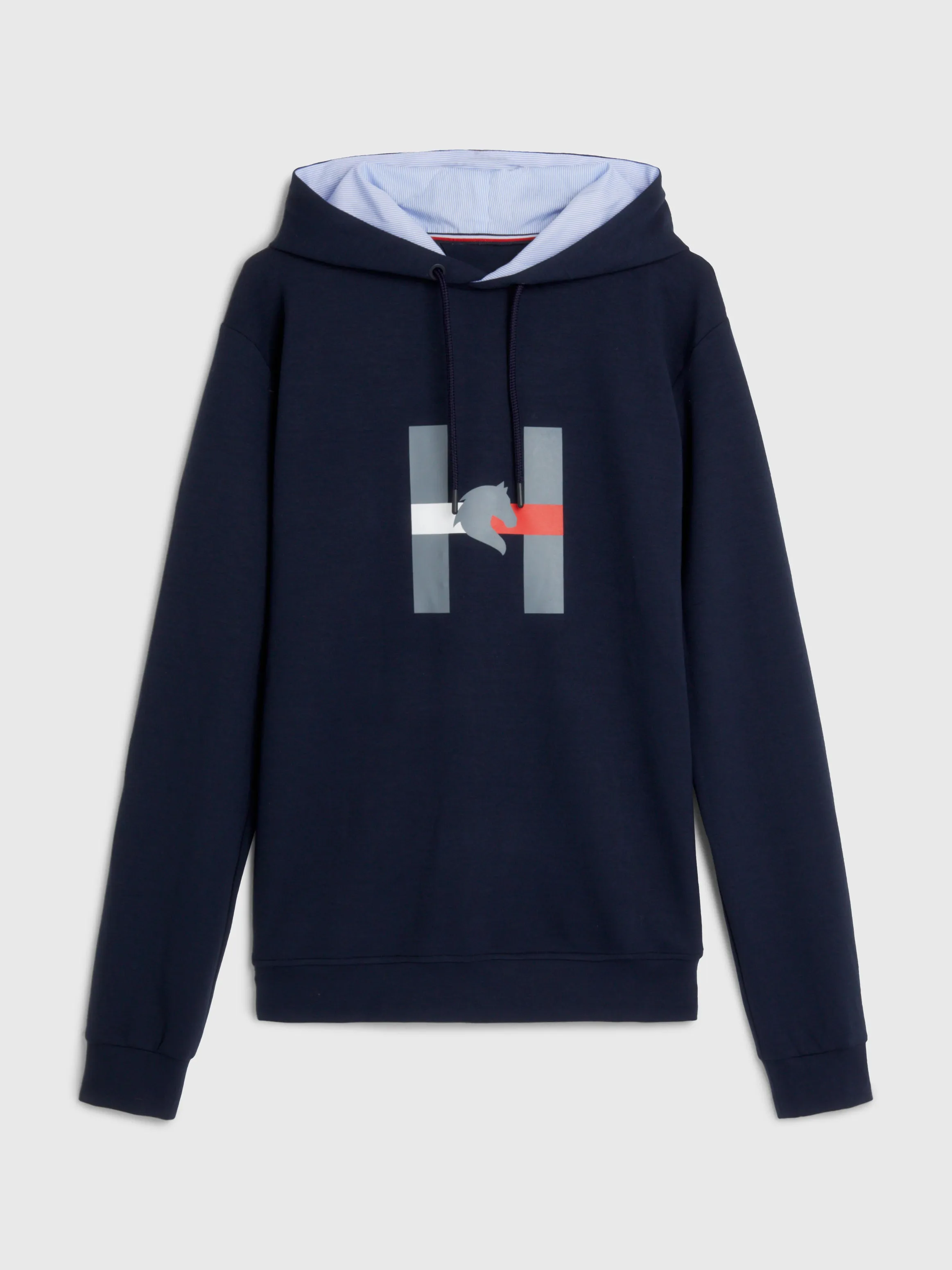 Tommy Hilfiger Graphic sport Hoody in Desert sky