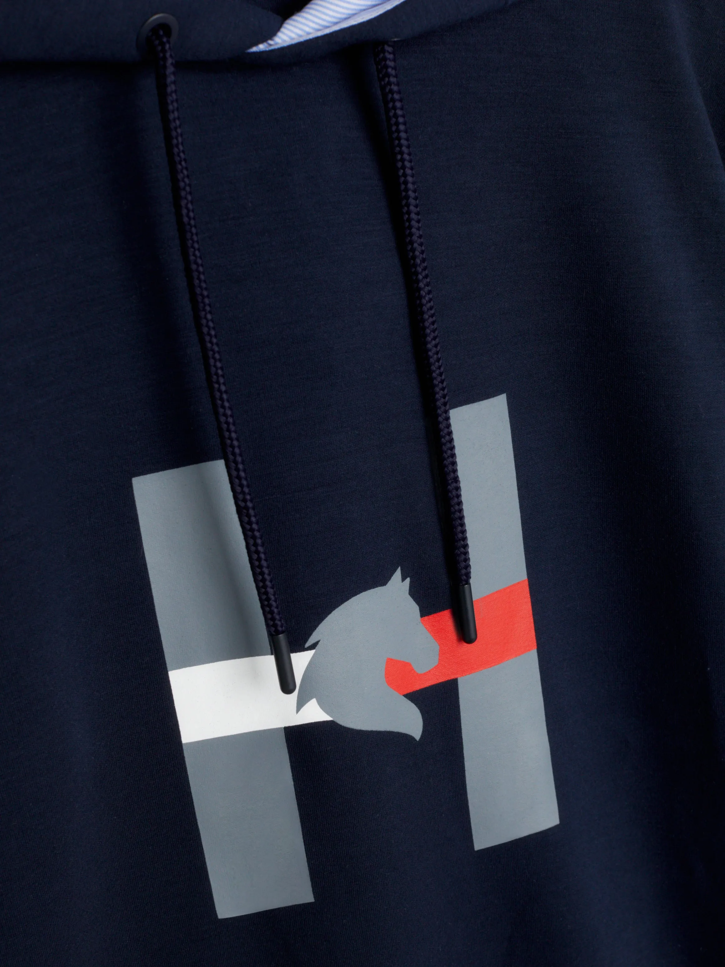 Tommy Hilfiger Graphic sport Hoody in Desert sky