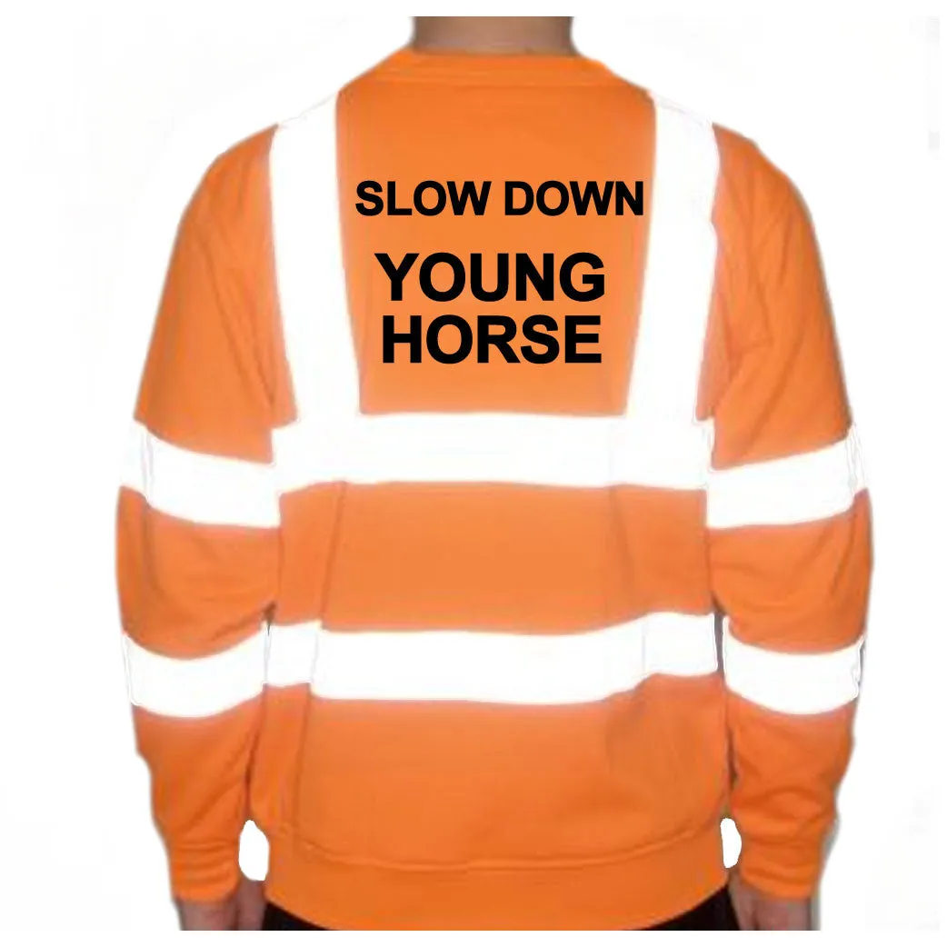 Unisex Hi-Vis Reflective Jumper/Sweatshirt - SLOW DOWN YOUNG HORSE