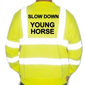 Unisex Hi-Vis Reflective Jumper/Sweatshirt - SLOW DOWN YOUNG HORSE