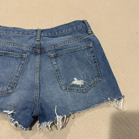 We The Free Jean Shorts