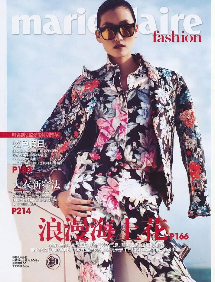 Well Documented Resort 2012 Celine by Phoebe Philo Floral Top or Jacket & Cropped Pant Suit