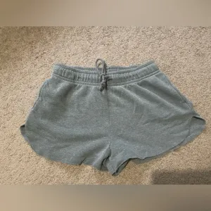 Wild fable grey shorts size large